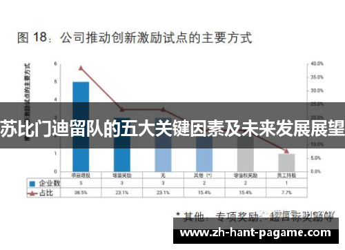 苏比门迪留队的五大关键因素及未来发展展望