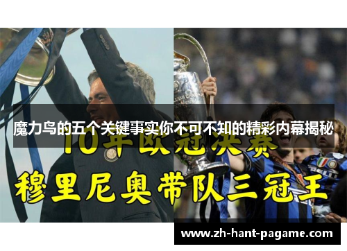 魔力鸟的五个关键事实你不可不知的精彩内幕揭秘 魔力鸟的五个关键事实你不可不知的精彩内幕揭秘