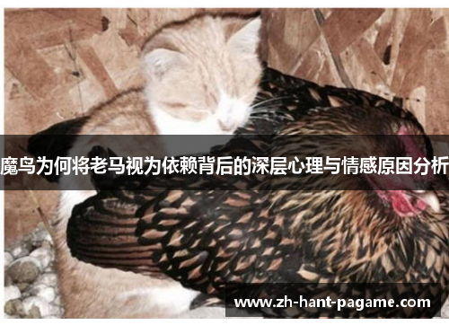 魔鸟为何将老马视为依赖背后的深层心理与情感原因分析 魔鸟为何将老马视为依赖背后的深层心理与情感原因分析